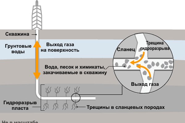 Кракен даркнет отзывы